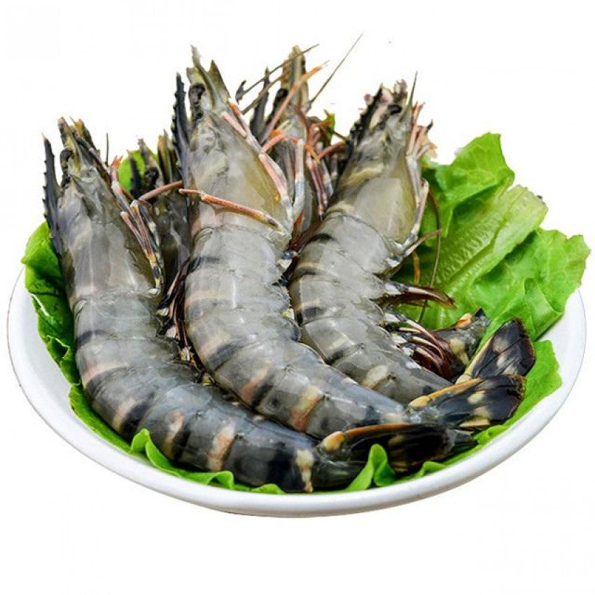 Vietnamese Supreme Black Tiger Prawn (8 pcs)